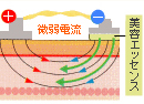 イオンフェイシャルコース